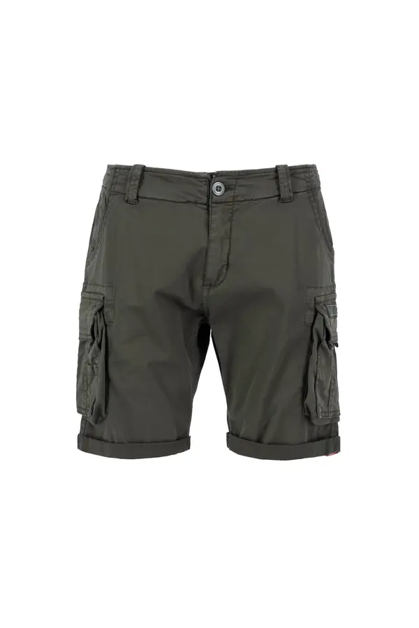 ALPHA INDUSTRIES ALPHA INDUSTRIES Cargo hlače  tamo siva