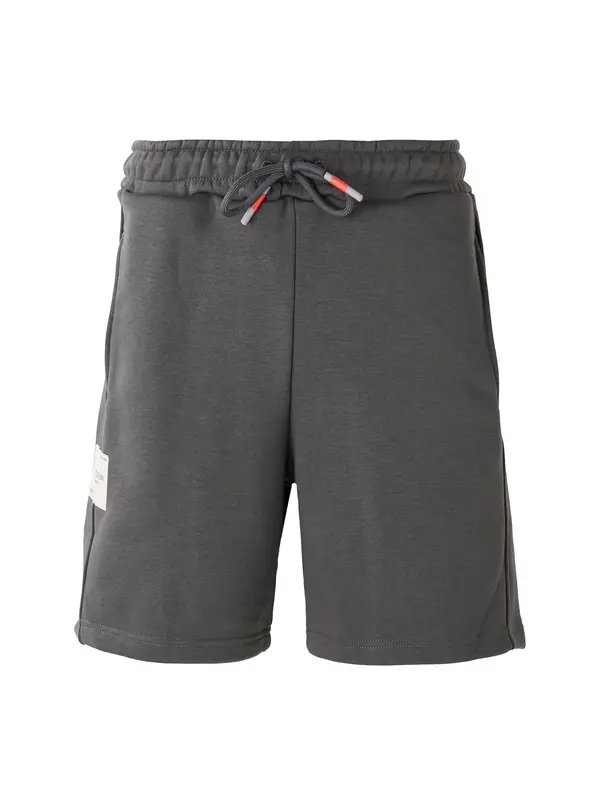 ALPHA INDUSTRIES ALPHA INDUSTRIES Hlače  bazalt siva