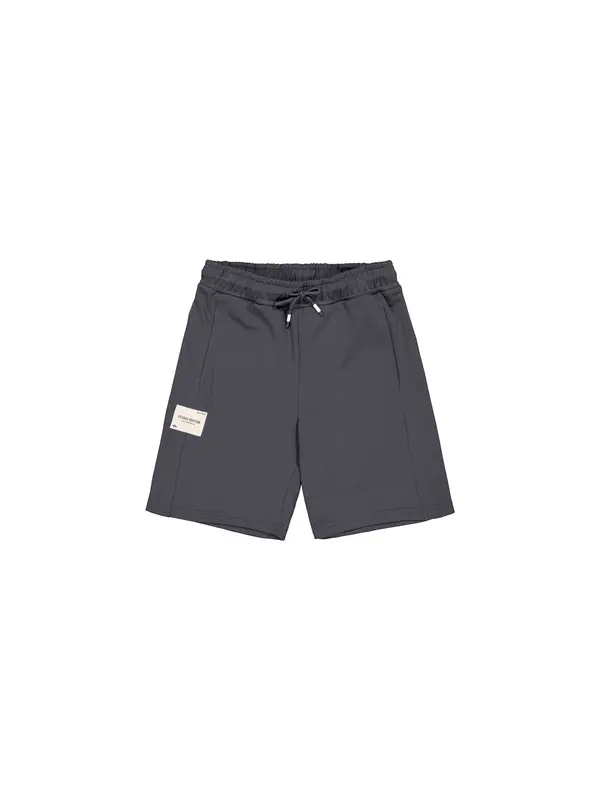 Alpha Industries ALPHA INDUSTRIES Hlače  bazalt siva