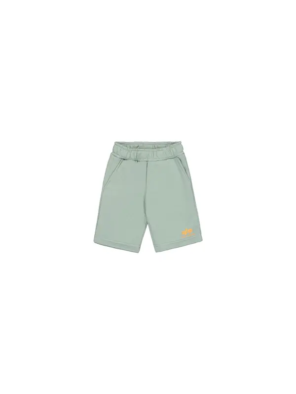 Alpha Industries ALPHA INDUSTRIES Hlače  pastelno zelena / narančasta