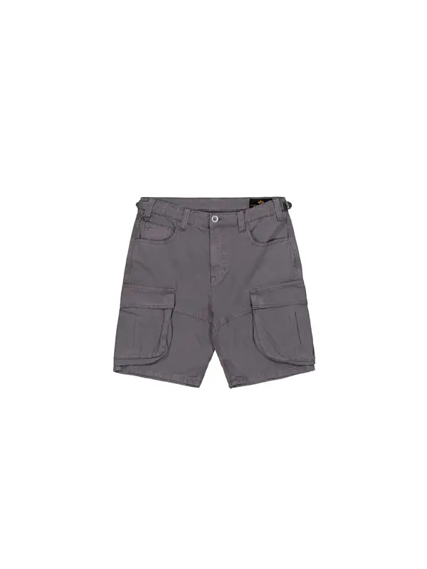 Alpha Industries ALPHA INDUSTRIES Hlače  tamo siva