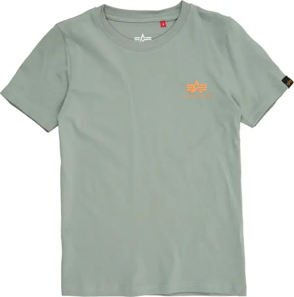 Alpha Industries ALPHA INDUSTRIES Majica  pastelno zelena / narančasta