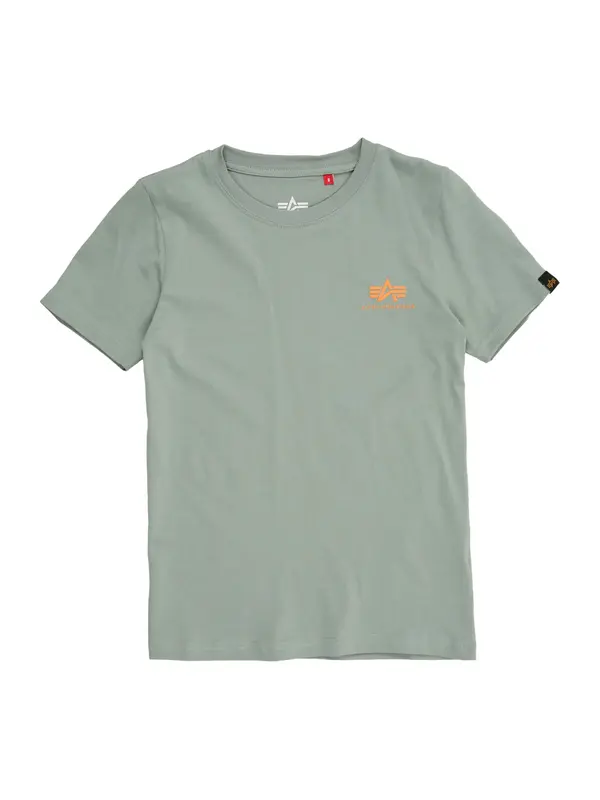 Alpha Industries ALPHA INDUSTRIES Majica  pastelno zelena / narančasta