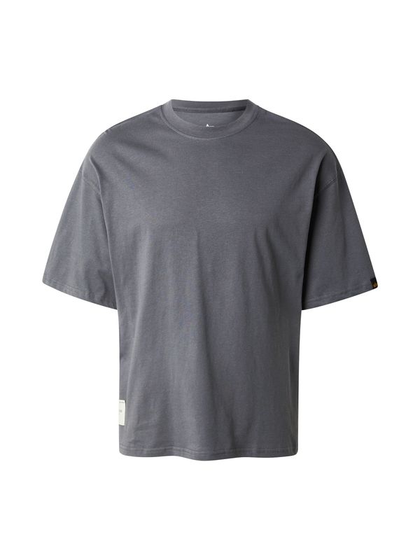 ALPHA INDUSTRIES ALPHA INDUSTRIES Majica 'Studio Edition'  tamo siva