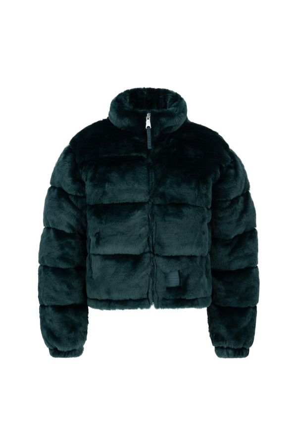 ALPHA INDUSTRIES ALPHA INDUSTRIES Zimska jakna  zelena / srebro