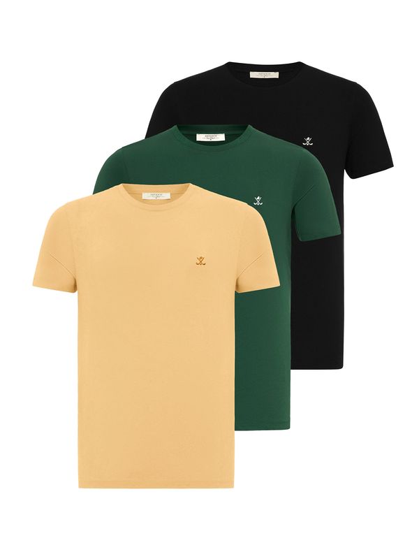 Antioch Antioch Majica  pijesak / tamno zelena / crna / bijela