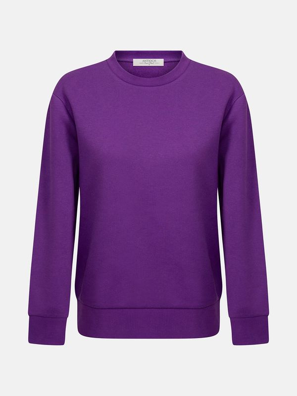 Antioch Antioch Sweater majica  bež / ljubičasta / crna