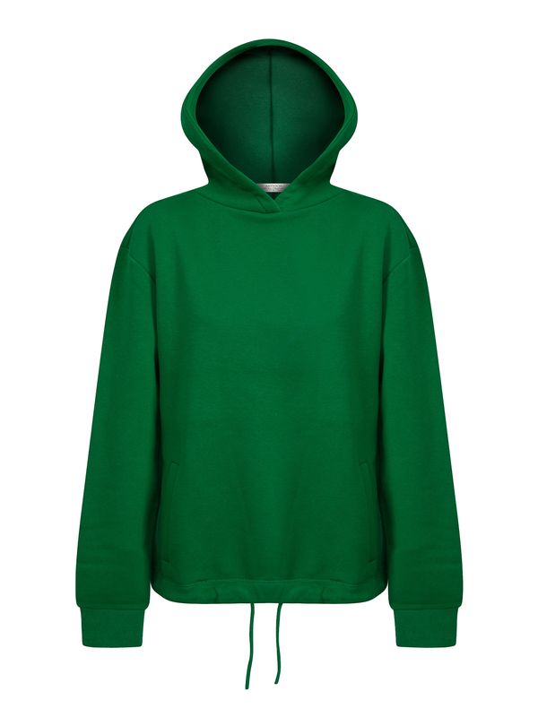 Antioch Antioch Sweater majica  zelena / bijela