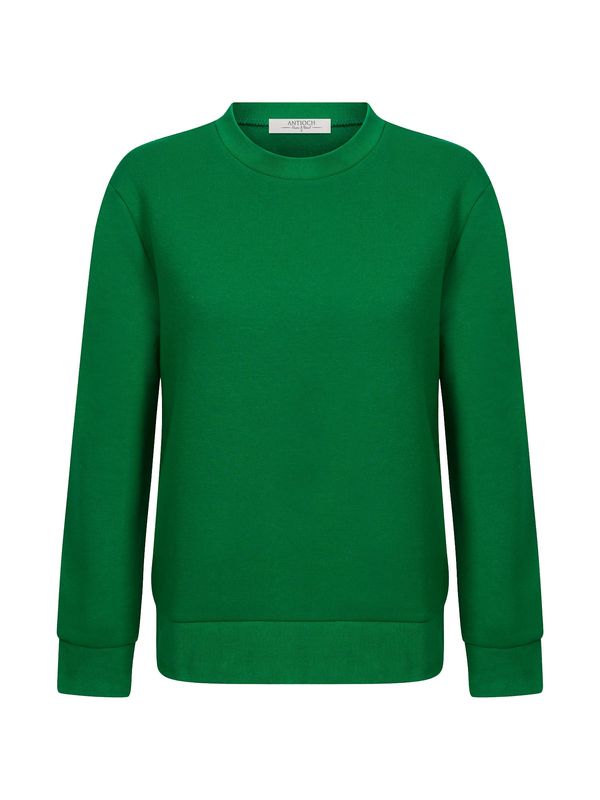 Antioch Antioch Sweater majica  zelena / crna / bijela