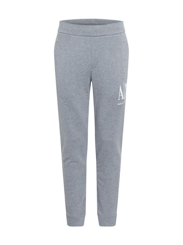 ARMANI EXCHANGE ARMANI EXCHANGE Hlače '8NZPPA'  siva
