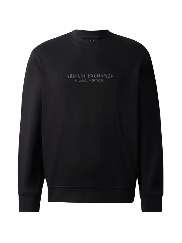 ARMANI EXCHANGE ARMANI EXCHANGE Sweater majica  tamo siva / crna
