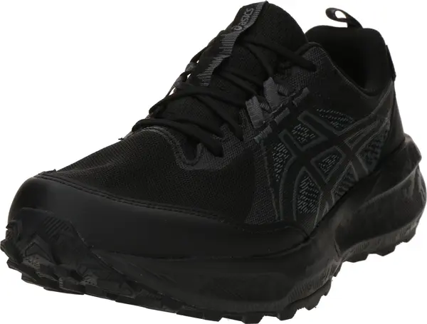 ASICS ASICS Niske tenisice 'Gel-Sonoma 8 GTX'  svijetlosiva / crna