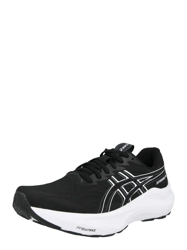 ASICS ASICS Tenisice za trčanje 'GT-2000 14'  crna / bijela