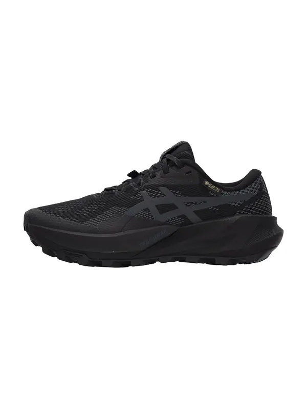 ASICS ASICS Tenisice za trčanje 'TRABUCO 14'  antracit siva / svijetlosiva / tamo siva