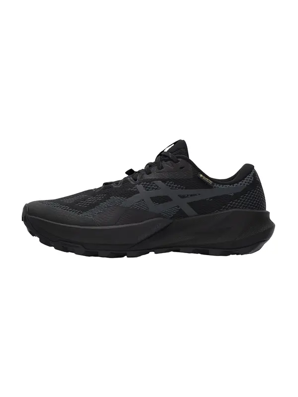 ASICS ASICS Tenisice za trčanje 'TRABUCO 14'  siva / crna