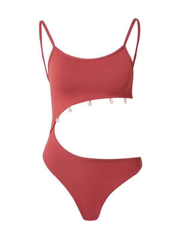 Banana Moon Banana Moon Jednodijelni kupaći kostim  ecru/prljavo bijela / kestenjasto smeđa