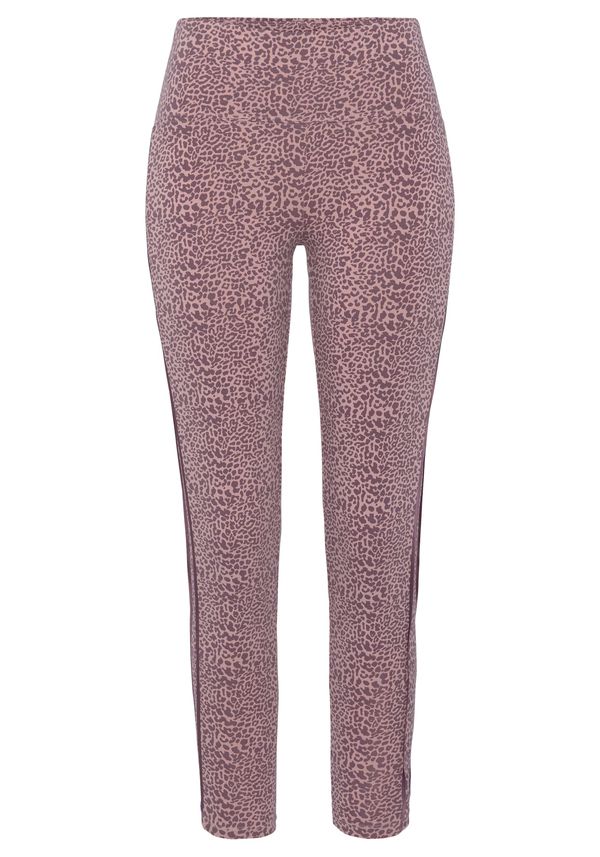 BENCH BENCH Tajice  smeđa / sivkasto ljubičasta (mauve)