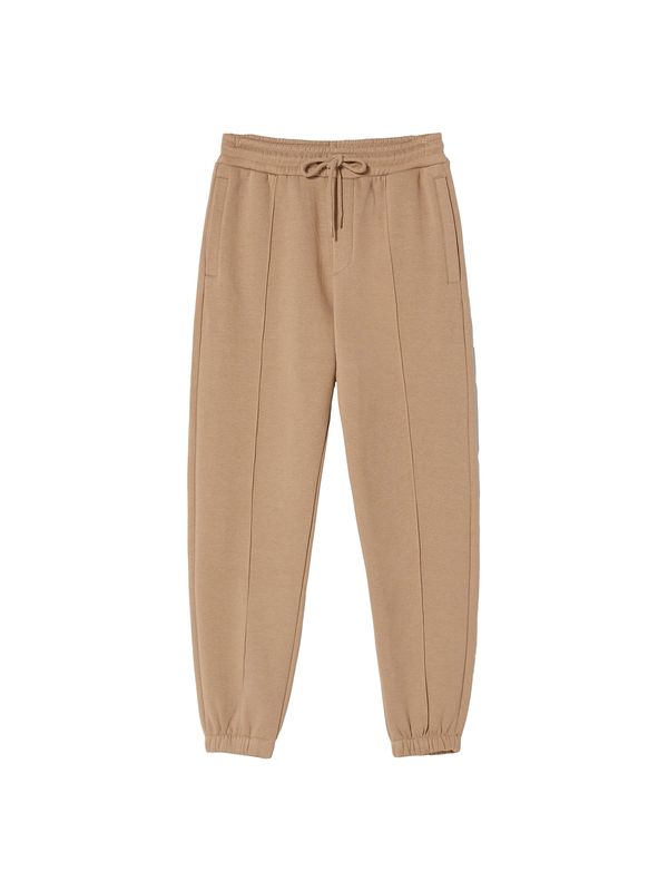 Bershka Bershka Hlače  tamno bež