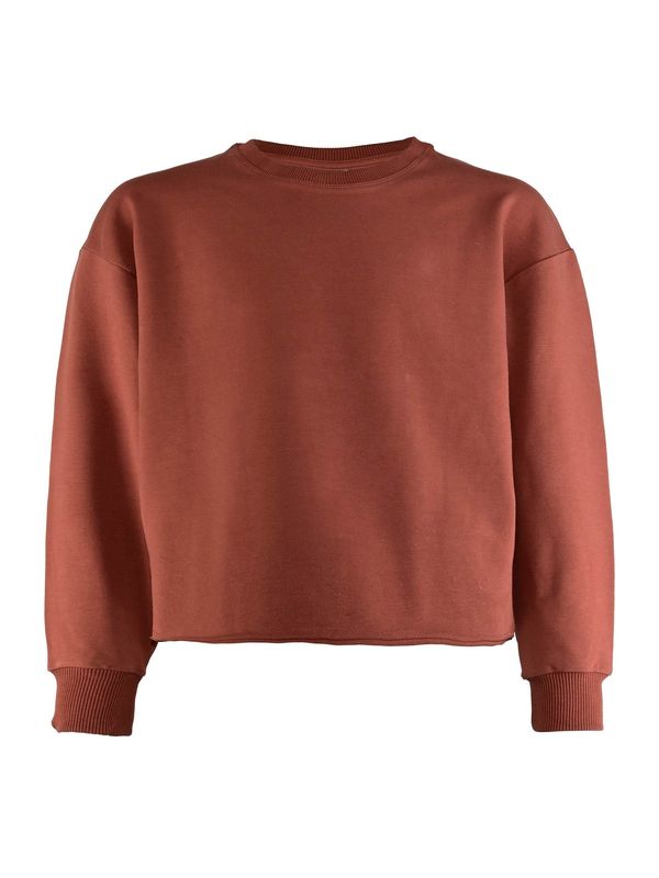 BLUE EFFECT BLUE EFFECT Sweater majica  hrđavo smeđa / bijela