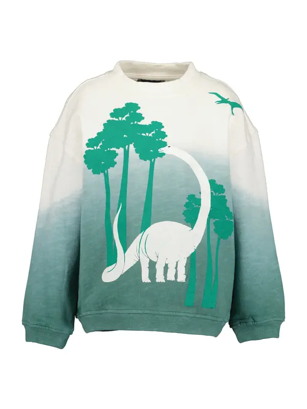 BLUE SEVEN BLUE SEVEN Sweater majica  zelena / petrol / prljavo bijela