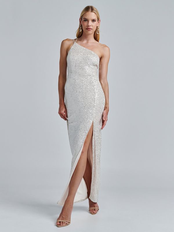 BWLDR BWLDR Večernja haljina 'Boston'  sivkasto bež / srebro