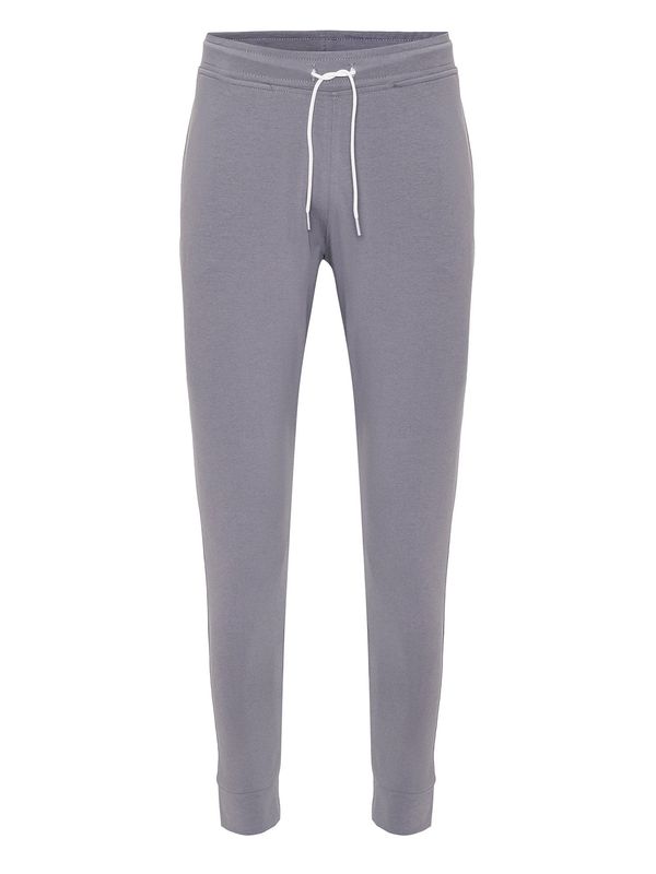 By Diess Collection By Diess Collection Hlače  siva