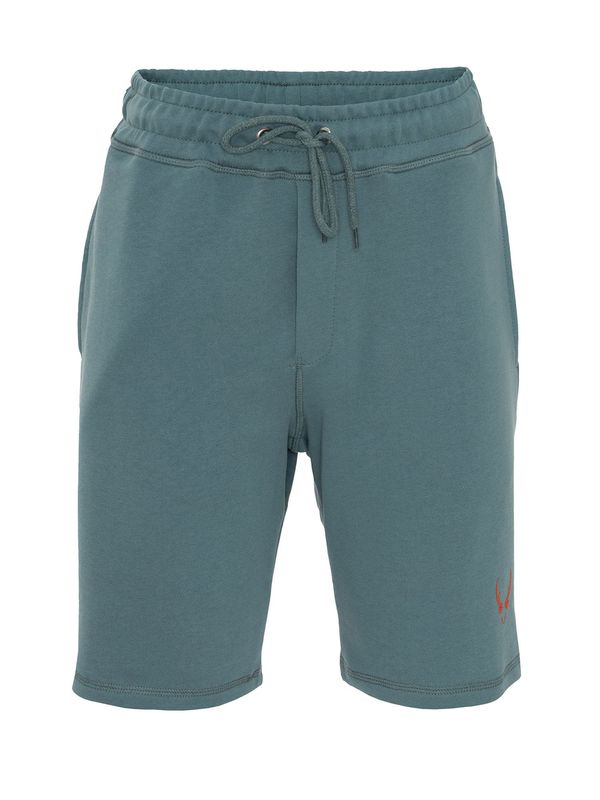 By Diess Collection By Diess Collection Hlače  svijetlozelena