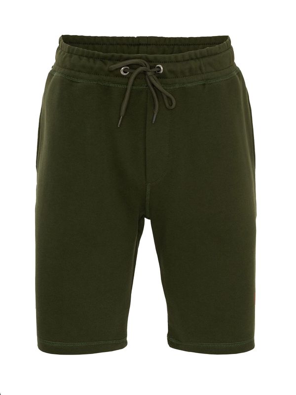 By Diess Collection By Diess Collection Sportske hlače  zelena / tamno zelena / neonsko narančasta