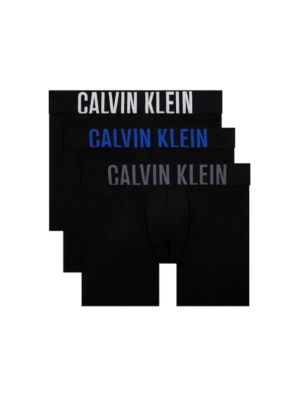 Calvin Klein Calvin Klein Bokserice  crna