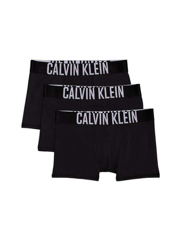 Calvin Klein Jeans Calvin Klein Jeans Gaće  crna / bijela