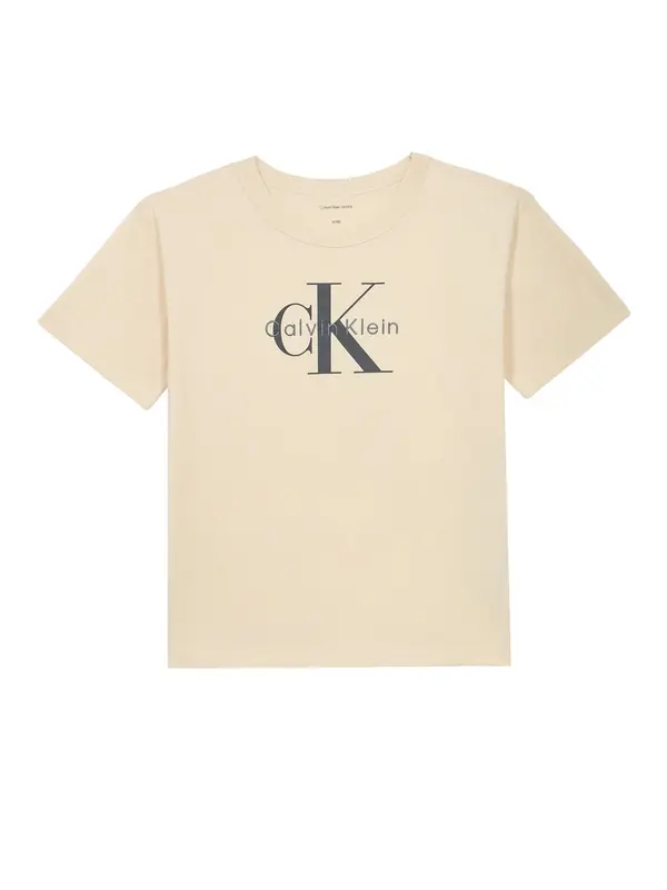 Calvin Klein Jeans Calvin Klein Jeans Majica  antracit siva / bež siva