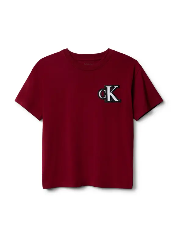 Calvin Klein Jeans Calvin Klein Jeans Majica  bordo / crna / bijela