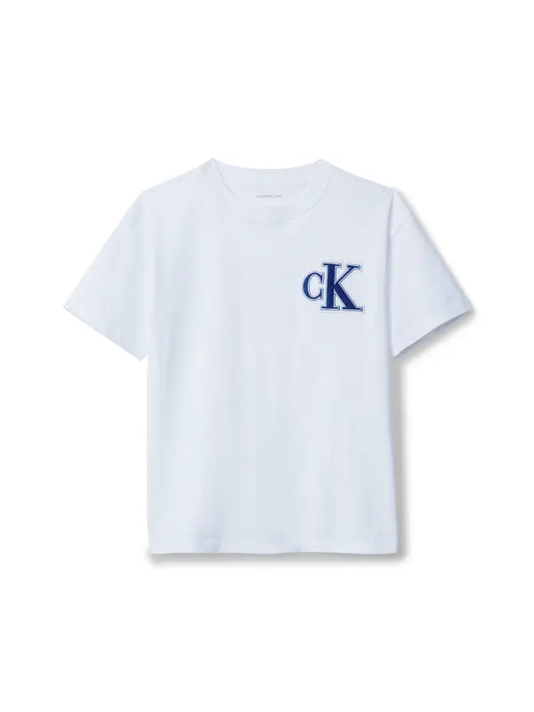Calvin Klein Jeans Calvin Klein Jeans Majica  plava / bijela