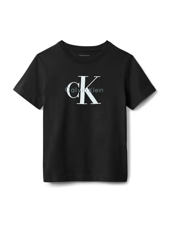 Calvin Klein Jeans Calvin Klein Jeans Majica  siva / crna / bijela