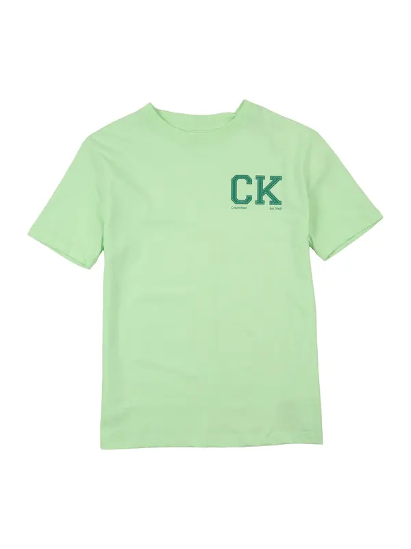 Calvin Klein Jeans Calvin Klein Jeans Majica  zelena / svijetlozelena