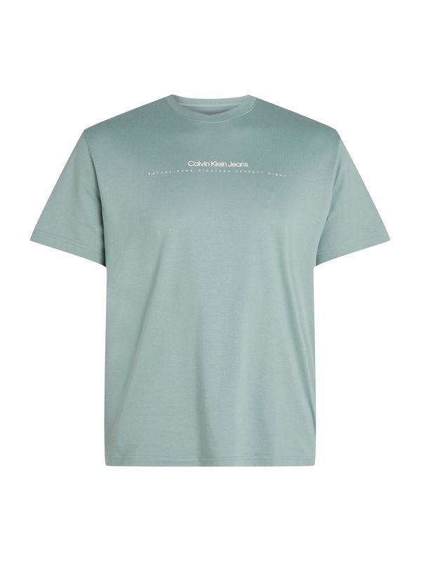 Calvin Klein Jeans Plus Calvin Klein Jeans Plus Majica  bazalt siva / prljavo bijela