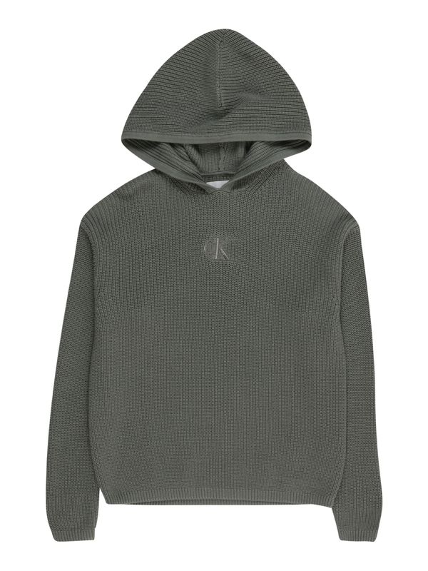 Calvin Klein Jeans Calvin Klein Jeans Pulover  kraljevski zelena