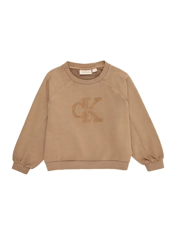 Calvin Klein Jeans Calvin Klein Jeans Sweater majica  brokat / moka smeđa