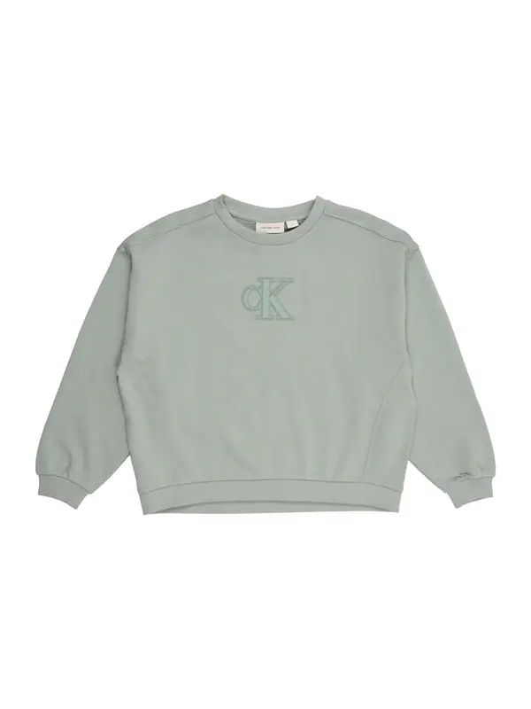 Calvin Klein Jeans Calvin Klein Jeans Sweater majica  menta / pastelno zelena
