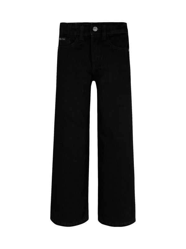 Calvin Klein Jeans Calvin Klein Jeans Traperice  crni traper