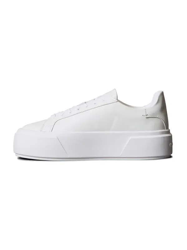 Calvin Klein Calvin Klein Niske tenisice  bijela