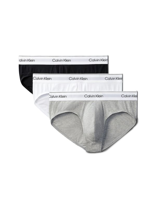 Calvin Klein Calvin Klein Slip  siva / crna / bijela