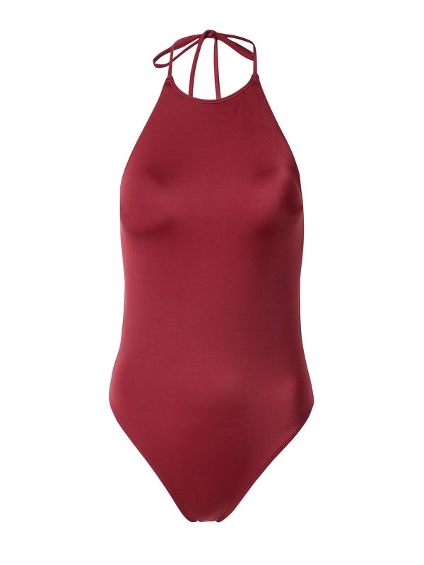 Calvin Klein Swimwear Calvin Klein Swimwear Jednodijelni kupaći kostim  ljubičasta