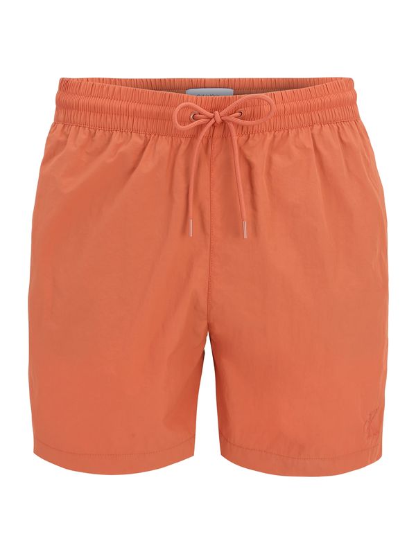 Calvin Klein Swimwear Calvin Klein Swimwear Kupaće hlače  hrđavo smeđa