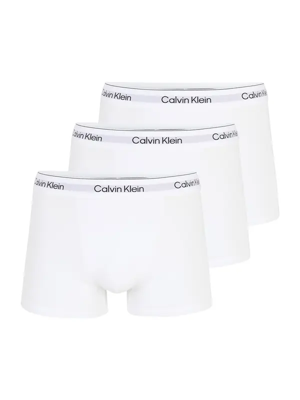 Calvin Klein Underwear Calvin Klein Underwear Bokserice  bijela