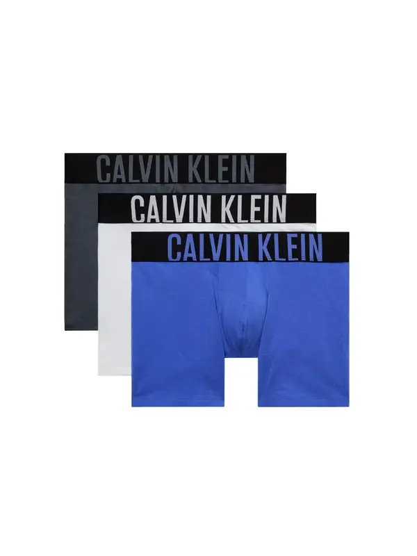 Calvin Klein Underwear Calvin Klein Underwear Bokserice 'Intense Power'  safirno plava / azur / crna / bijela