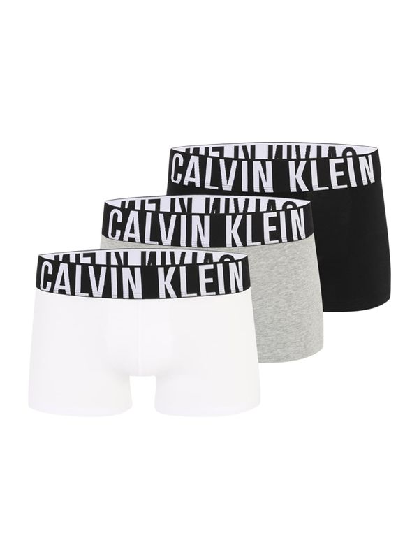 Calvin Klein Underwear Calvin Klein Underwear Bokserice 'Intense Power'  siva / crna / bijela