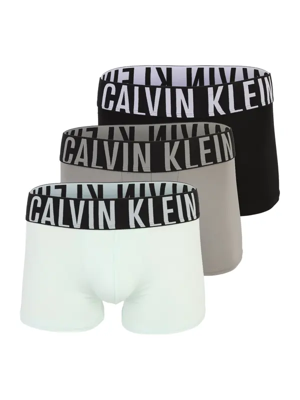 Calvin Klein Underwear Calvin Klein Underwear Bokserice 'Intense Power'  taupe siva / menta / crna / prljavo bijela