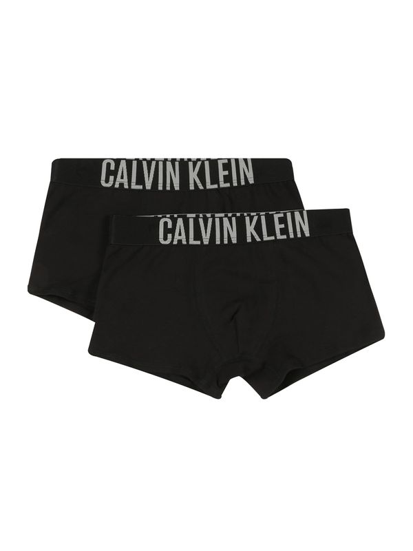 Calvin Klein Underwear Calvin Klein Underwear Gaće  crna / bijela
