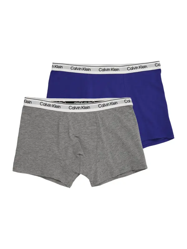 Calvin Klein Underwear Calvin Klein Underwear Gaće  indigo / siva melange / crna / bijela